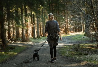 Frau mit Hund im Wald