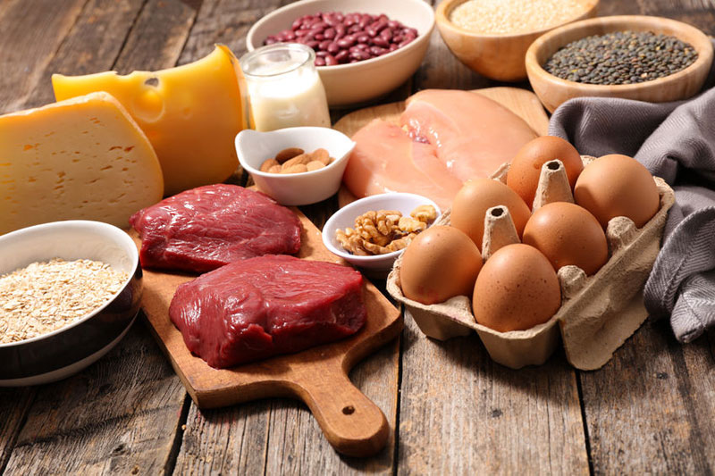 Protein-Balance in der Ernährung